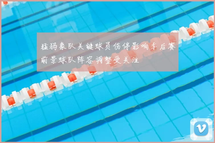 猛犸象队关键球员伤停影响季后赛前景球队阵容调整受关注