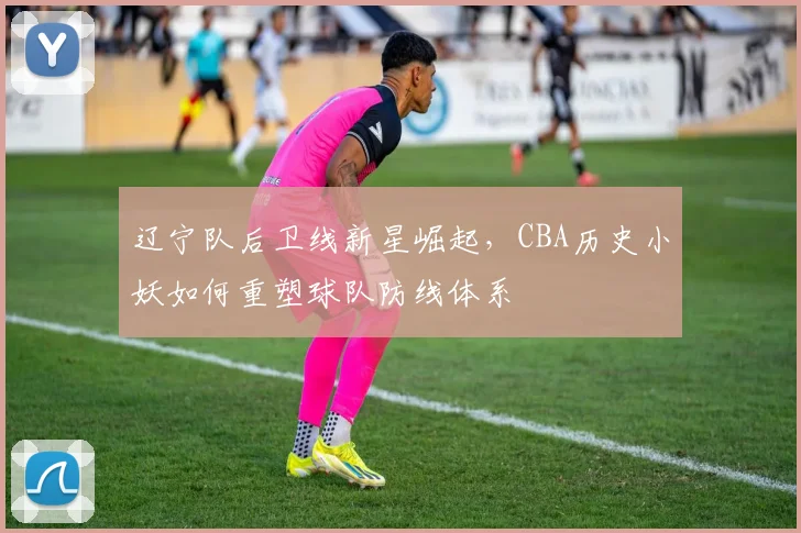 辽宁队后卫线新星崛起,CBA历史小妖如何重塑球队防线体系