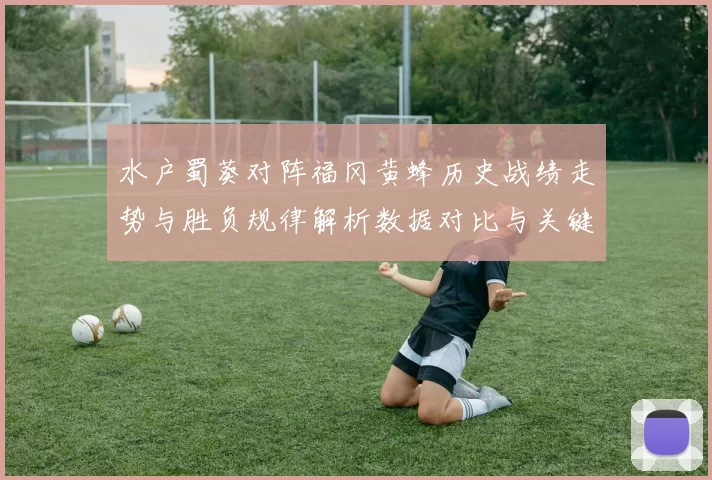 水户蜀葵对阵福冈黄蜂历史战绩走势与胜负规律解析数据对比与关键因素