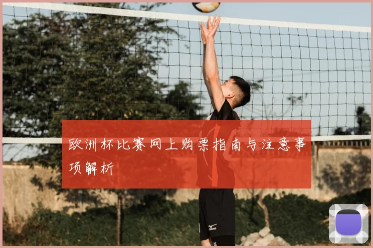 欧洲杯比赛网上购票指南与注意事项解析