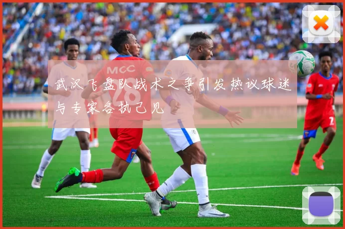 武汉飞盘队战术之争引发热议球迷与专家各执己见