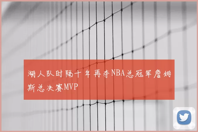 湖人队时隔十年再夺NBA总冠军詹姆斯总决赛MVP